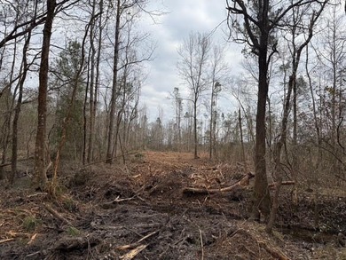 Partially cleared land offering a nice balance of open space and - photo 11