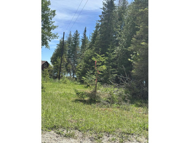 If you have been looking for Lake Huron lots, look no further! - photo 12