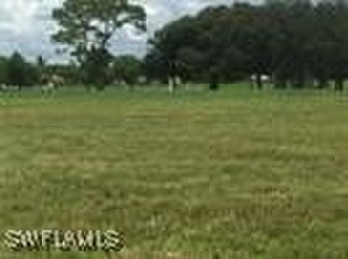 Here we have one of the last Cape Coral Lots with EXPANSIVE - photo 2
