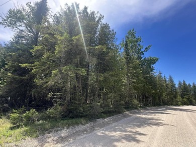 If you have been looking for Lake Huron lots, look no further! - photo 13