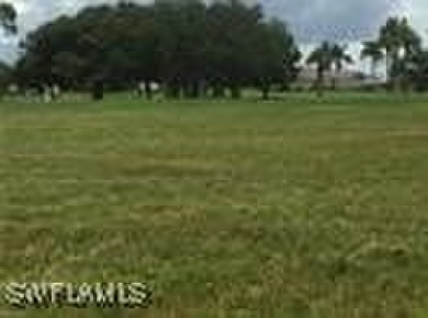 Here we have one of the last Cape Coral Lots with EXPANSIVE - photo 3
