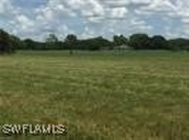 Here we have one of the last Cape Coral Lots with EXPANSIVE - photo 4