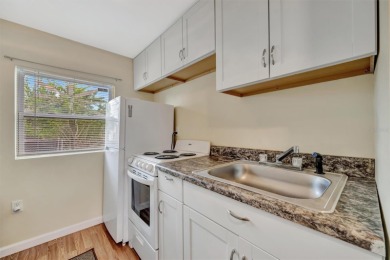 Welcome to this charming North Port 3 bed 2 bath (possible - photo 43