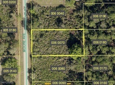 Lehigh Acres Area Lot For Sale in Alva Florida
