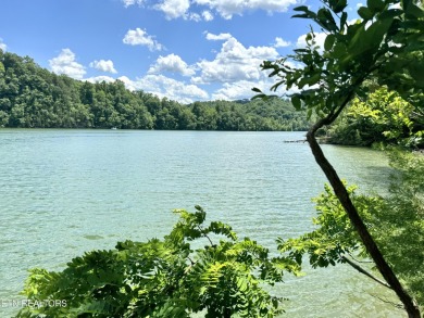 Norris Lake Lot For Sale in New Tazewell Tennessee