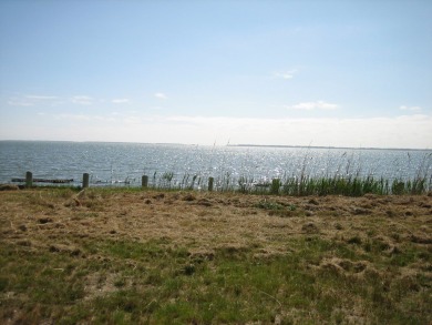 1/748 Direct Chincoteague Bay lot w/ approx 50' of bulkhead - photo 3