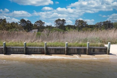 1/748 Direct Chincoteague Bay lot w/ approx 50' of bulkhead - photo 7