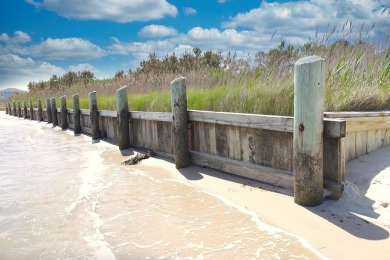1/748 Direct Chincoteague Bay lot w/ approx 50' of bulkhead - photo 8