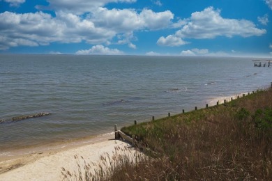 1/748 Direct Chincoteague Bay lot w/ approx 50' of bulkhead - photo 10