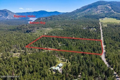 Live the North Idaho Dream on this nearly 20 (19.45), acres with - photo 4