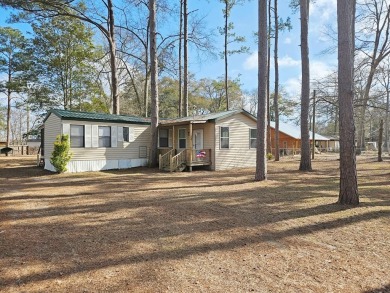 Lake Home For Sale in Georgetown, Georgia