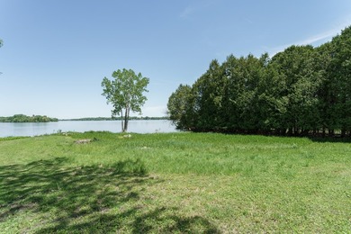 This is the one!! Beautifully updated ranch home on a quiet road - photo 10
