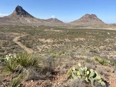(private lake, pond, creek) Acreage For Sale in Terlingua Texas