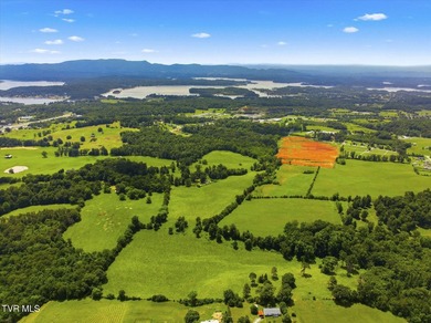 PRIME COMMERCIAL DEVELOPMENT OPPORTUNITY - HISTORIC DANDRIDGE - photo 13