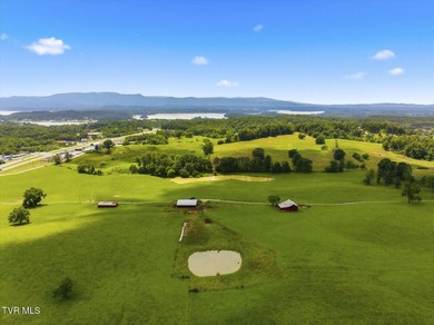 PRIME COMMERCIAL DEVELOPMENT OPPORTUNITY - HISTORIC DANDRIDGE - photo 18
