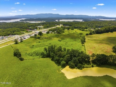 PRIME COMMERCIAL DEVELOPMENT OPPORTUNITY - HISTORIC DANDRIDGE - photo 19