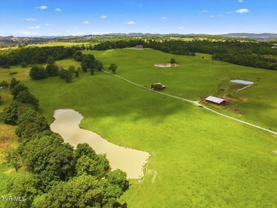 PRIME COMMERCIAL DEVELOPMENT OPPORTUNITY - HISTORIC DANDRIDGE - photo 20