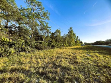 Daisy Lake Lot For Sale in Altoona Florida