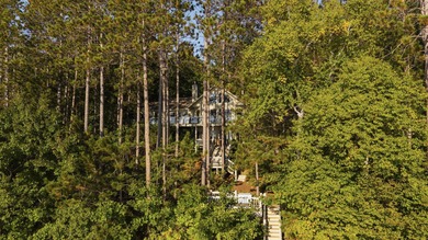Perched among the whispering pines on Walloon Lake's desirable - photo 25