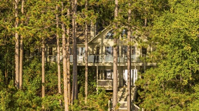 Perched among the whispering pines on Walloon Lake's desirable - photo 27