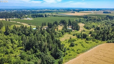 Welcome to your own slice of Oregon's beautiful Willamette - photo 29
