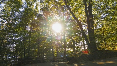 Perched among the whispering pines on Walloon Lake's desirable - photo 32