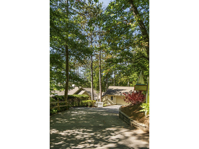 Perched among the whispering pines on Walloon Lake's desirable - photo 33