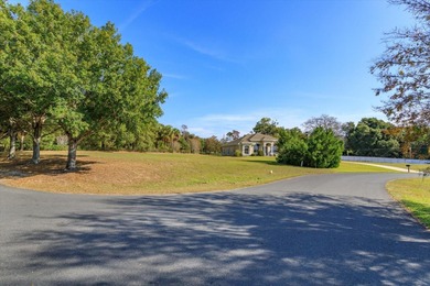 Myrtle Lake Lot Sale Pending in Fruitland Park Florida