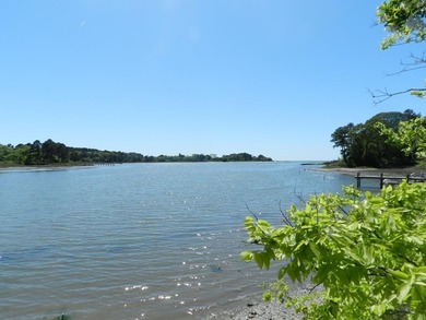 (private lake, pond, coastal) Acreage For Sale in Eastville Virginia