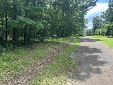 Discover your opportunity to own a piece of the beautiful Piney - photo 1