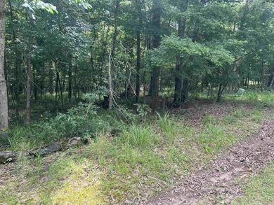 Discover your opportunity to own a piece of the beautiful Piney - photo 2