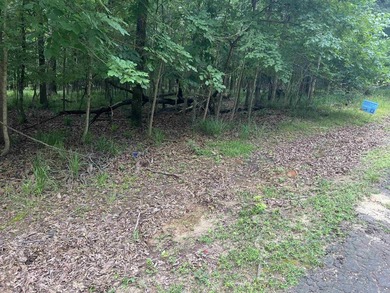 Discover your opportunity to own a piece of the beautiful Piney - photo 3