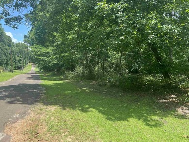 Discover your opportunity to own a piece of the beautiful Piney - photo 4