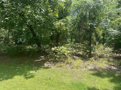 Discover your opportunity to own a piece of the beautiful Piney - photo 5