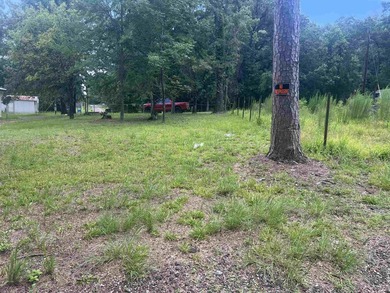Discover your opportunity to own a piece of the beautiful Piney - photo 7