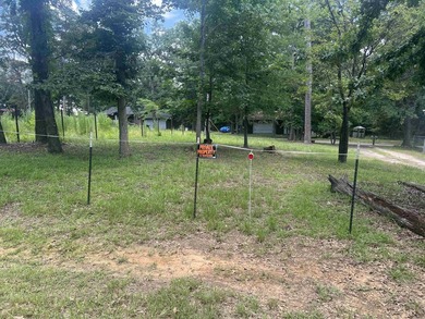 Discover your opportunity to own a piece of the beautiful Piney - photo 8