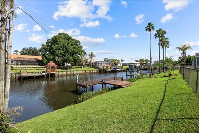 Direct ocean access, a deepwater canal, and a move-in-ready home - photo 31