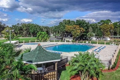 BEAUTIFUL GOLF COURSE HOME in The Country Club of Sebring. This - photo 48