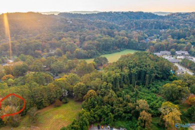 Neely Henry Lake Lot For Sale in Gadsden Alabama