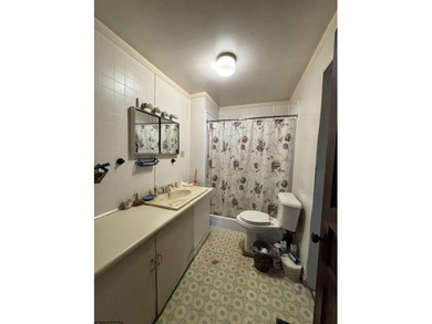 Here you go! 3 BR, 1 BA older home has a newer forced-air - photo 10