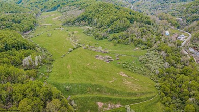Over 117 acres of unrestricted land in Monongalia County - one - photo 6