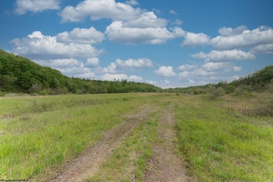 Over 117 acres of unrestricted land in Monongalia County - one - photo 10