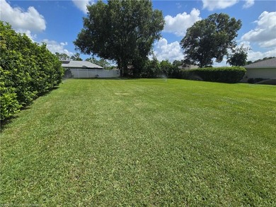 SHOWINGS AND BACK UP OFFERS STRONGLY ENCOURAGED. BEAUTIFUL POOL - photo 29