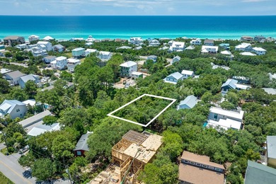 Welcome to 30A's best-kept secret, where panoramic Gulf views - photo 13