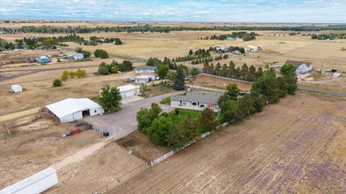 Custom 4 bedroom 3 bath home surrounded by towering trees - photo 40