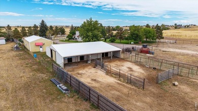 Custom 4 bedroom 3 bath home surrounded by towering trees - photo 44