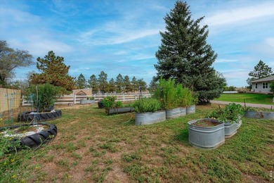 Custom 4 bedroom 3 bath home surrounded by towering trees - photo 46
