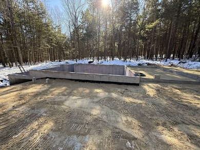 This nearly finished single-level ranch sits on a private 1 - photo 8