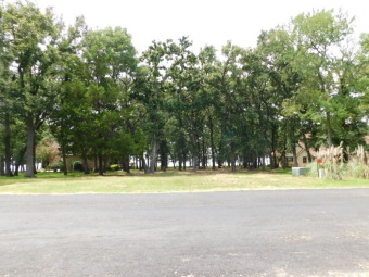 Lakefront Lot for Sale! SOLD - Lake Lot SOLD! in Streetman, Texas