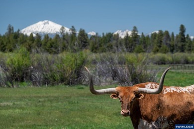 K BAR J RANCH- Stunning property with so much to offer. Some of - photo 36